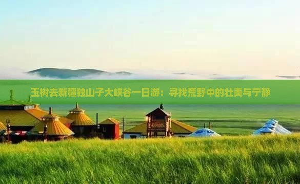 玉树去新疆独山子大峡谷一日