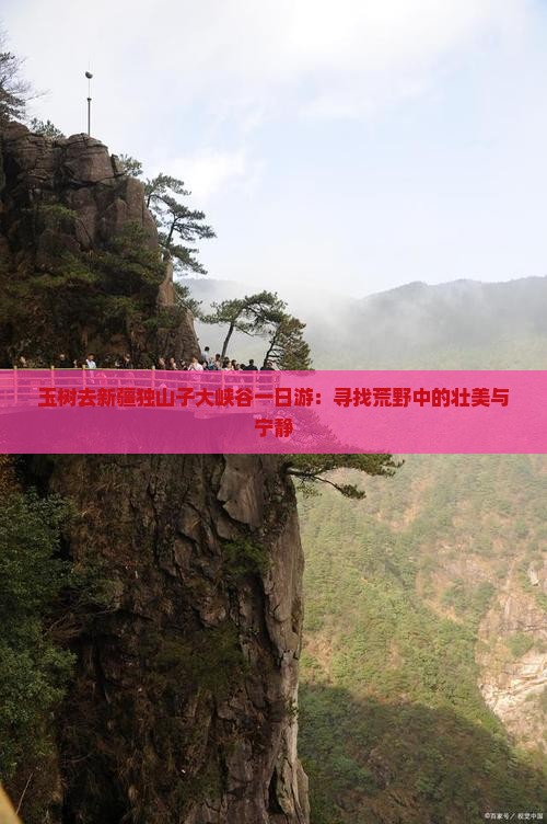 玉树去新疆独山子大峡谷一日