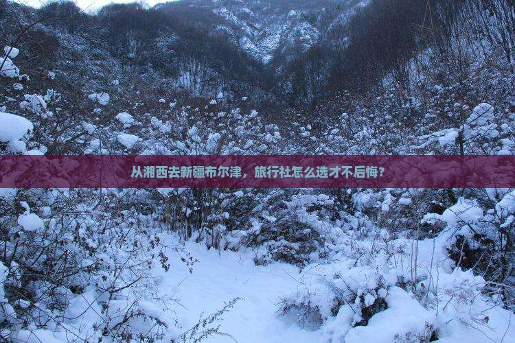 湘西到新疆布尔津旅行社