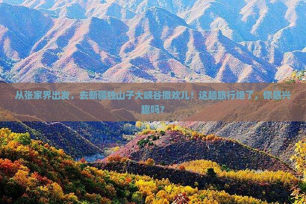 张家界到新疆独山子大峡谷二日游