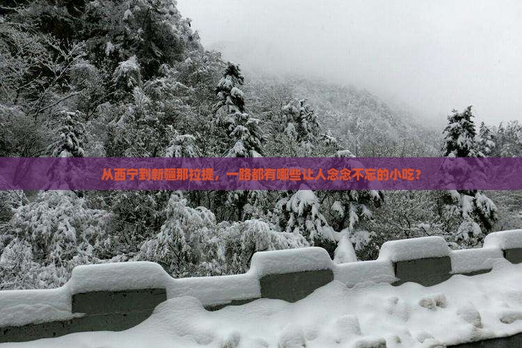 西宁去新疆那拉提旅游小吃