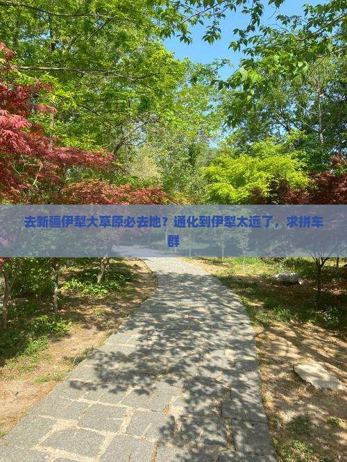 通化去新疆伊犁大草原必去地