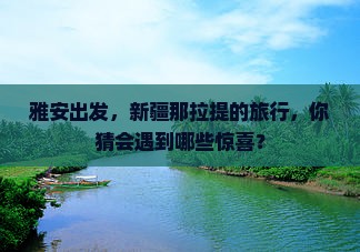 雅安到新疆那拉提哪里玩