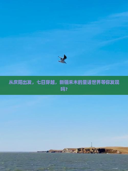 庆阳去新疆禾木七日游