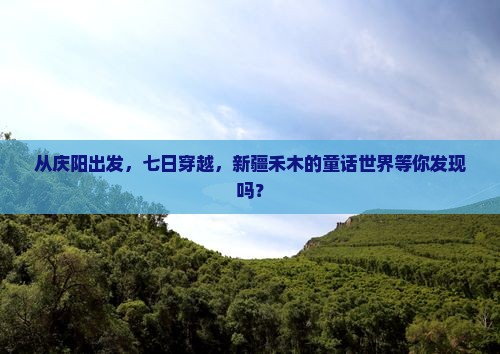 庆阳去新疆禾木七日游