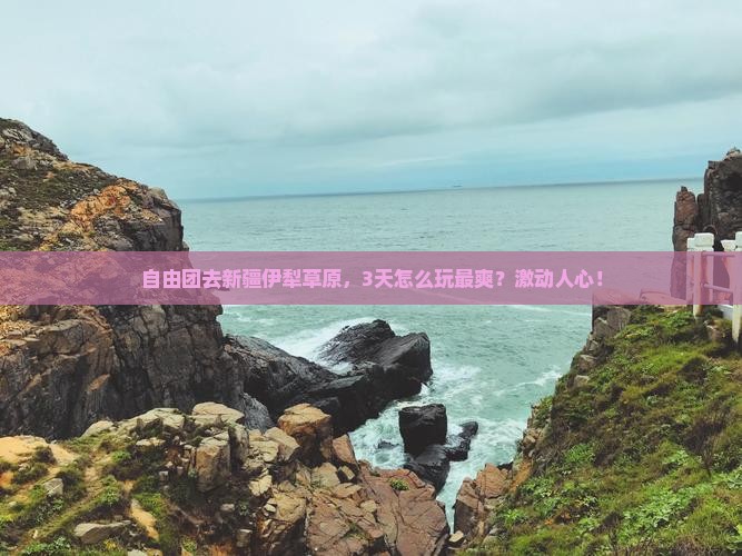 安阳到新疆伊犁大草原自由团
