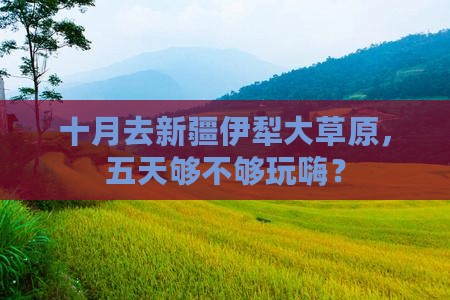 十月到新疆伊犁大草原五日游