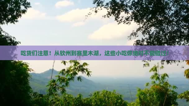 钦州到新疆赛里木湖旅游小吃