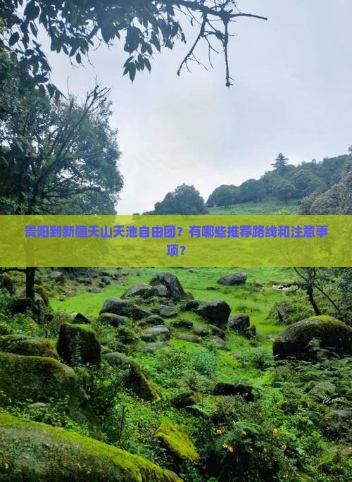 贵阳到新疆天山天池自由团
