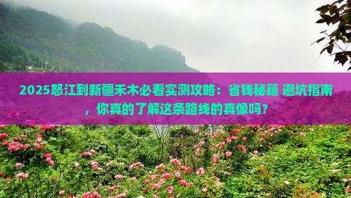 怒江到新疆禾木团体旅游