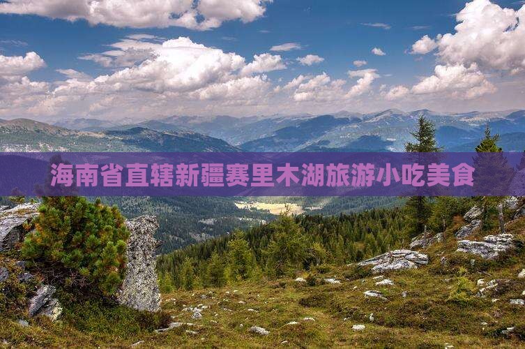 海南省直辖去新疆赛里木湖旅游小吃
