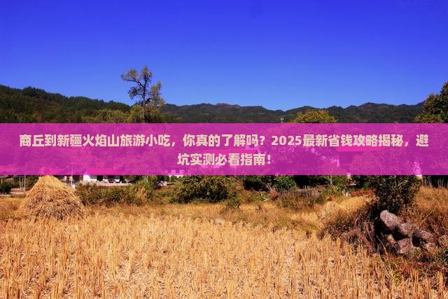 商丘到新疆火焰山旅游小吃