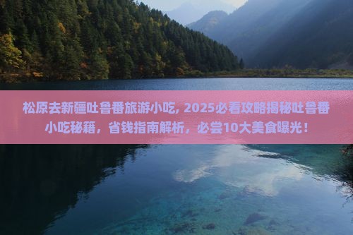 松原去新疆吐鲁番旅游小吃