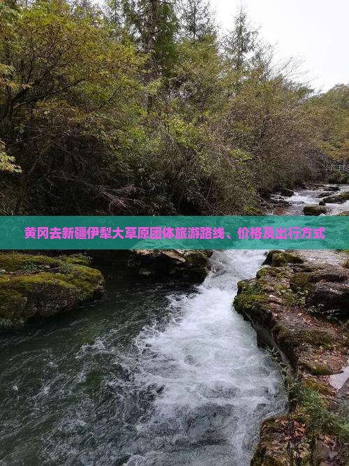 黄冈去新疆伊犁大草原团体旅游