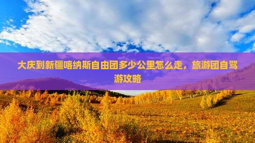 大庆到新疆喀纳斯自由团