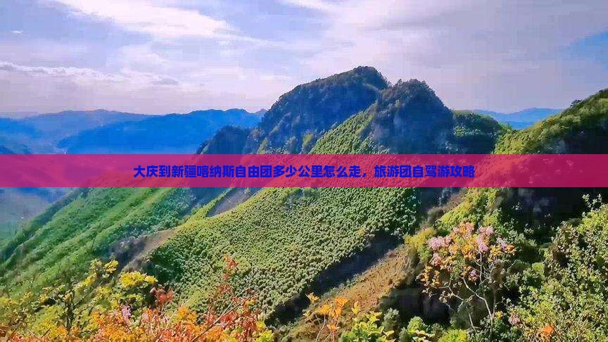大庆到新疆喀纳斯自由团