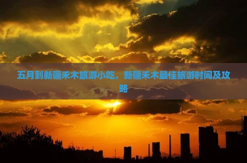 五月到新疆禾木旅游小吃