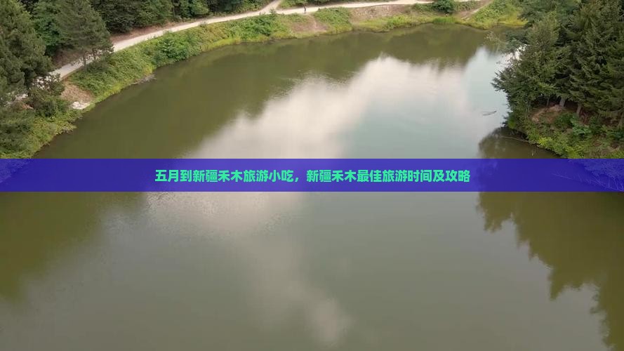 五月到新疆禾木旅游小吃