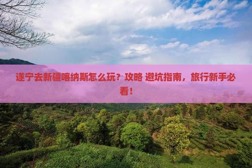 遂宁去新疆喀纳斯哪里玩