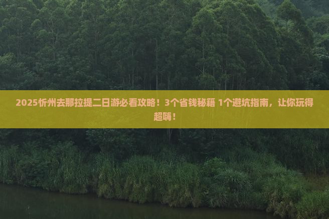 忻州去新疆那拉提二日游