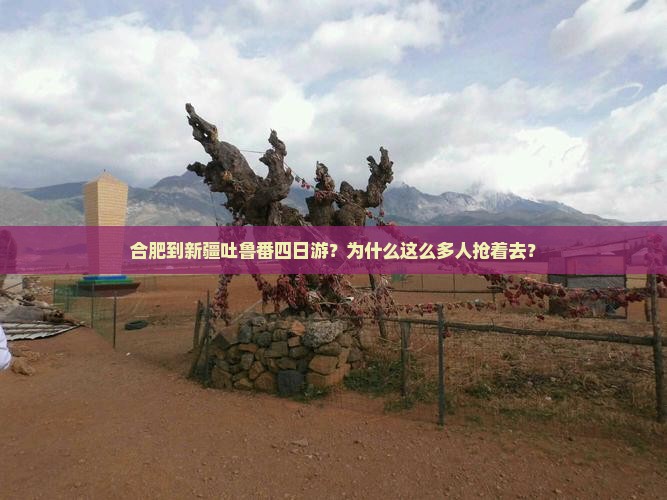 合肥到新疆吐鲁番四日游