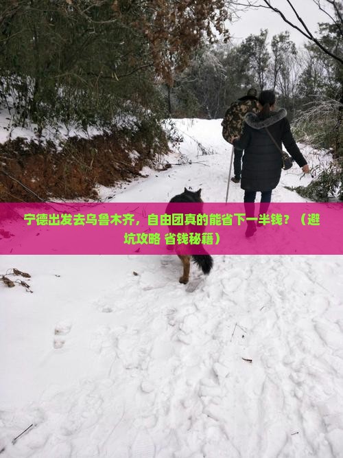 宁德去新疆乌鲁木齐自由团