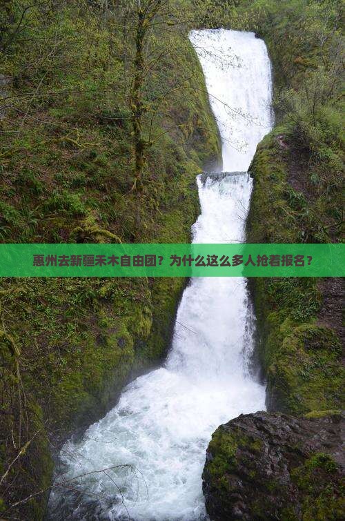 惠州去新疆禾木自由团