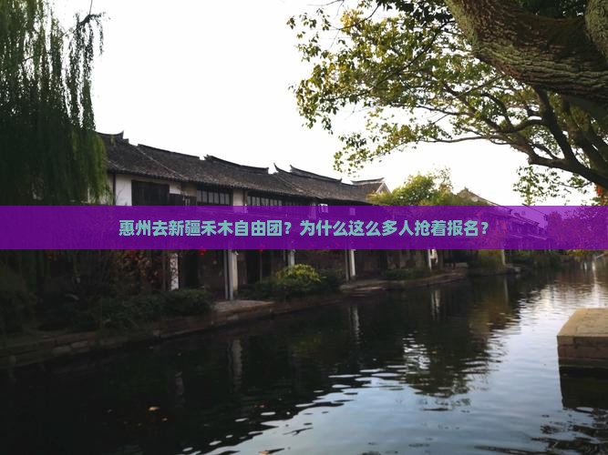 惠州去新疆禾木自由团