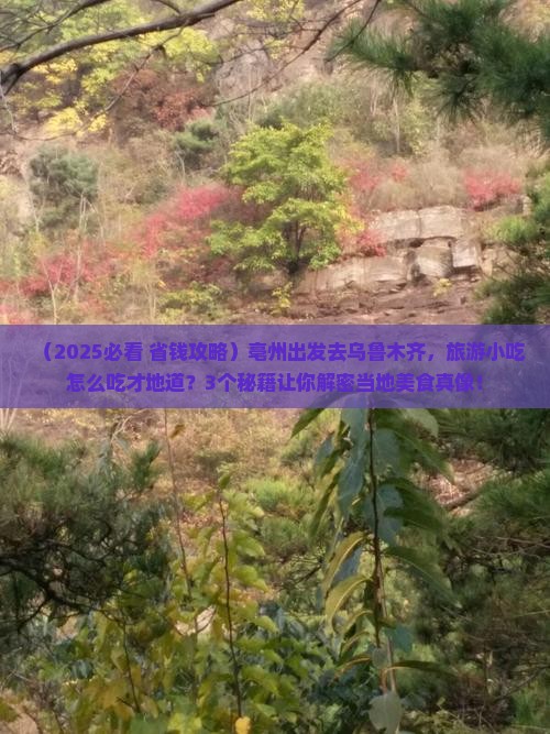 亳州到新疆乌鲁木齐旅游小吃