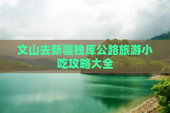 文山去新疆独库公路旅游小吃