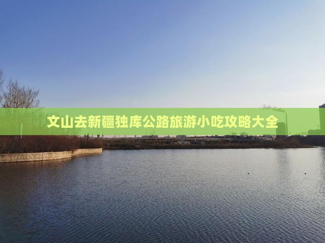 文山去新疆独库公路旅游小吃