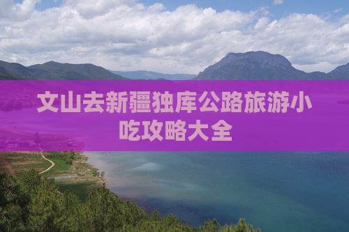 文山去新疆独库公路旅游小吃