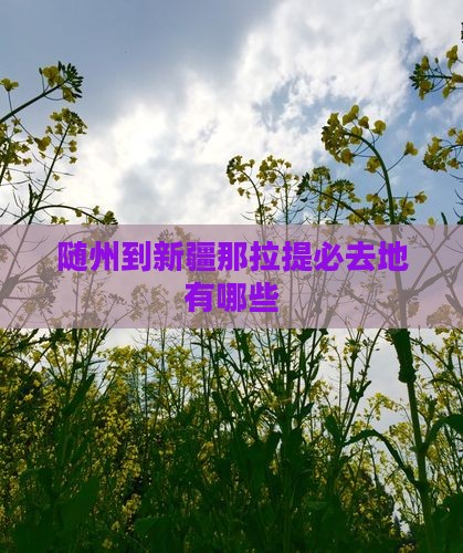 随州到新疆那拉提必去地