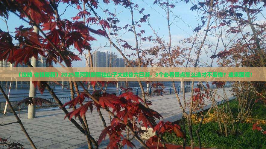黑河到新疆独山子大峡谷六日游