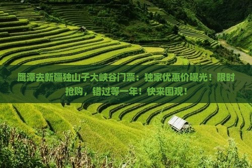 鹰潭去新疆独山子大峡谷门票