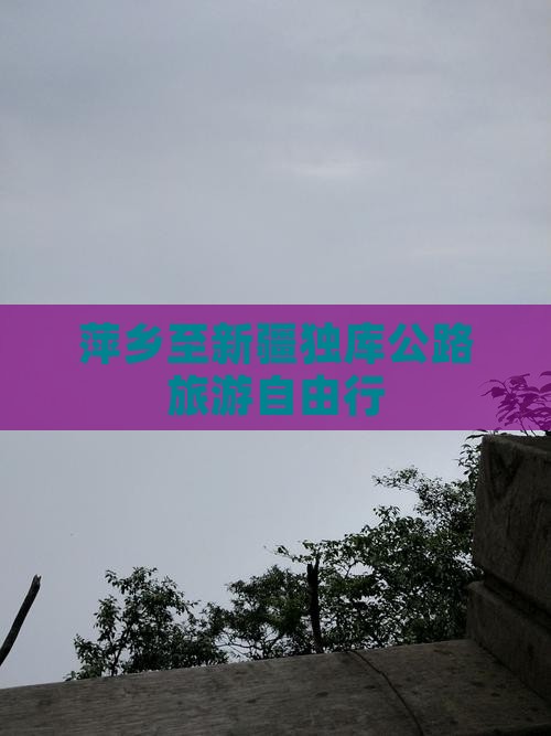 萍乡到新疆独库公路自由团