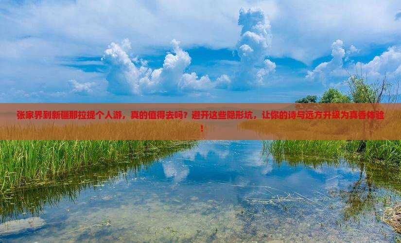 张家界到新疆那拉提个人游