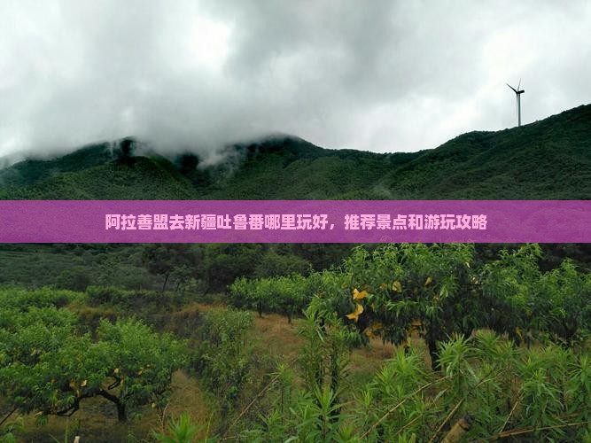 阿拉善盟去新疆吐鲁番哪里玩 阿拉善盟去新疆吐鲁番哪里玩