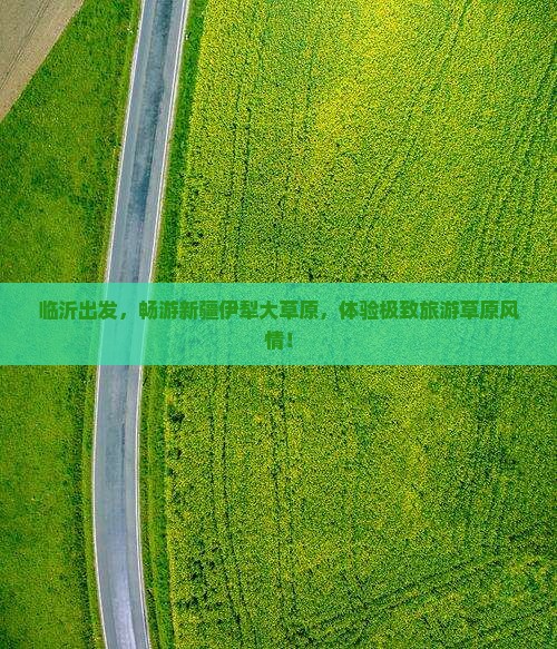 临沂去新疆伊犁大草原大型旅游团