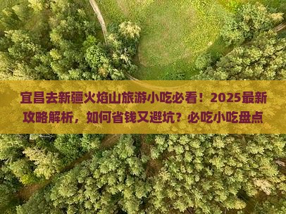 宜昌去新疆火焰山旅游小吃