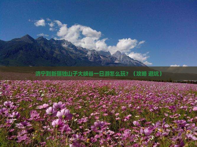 济宁到新疆独山子大峡谷一日