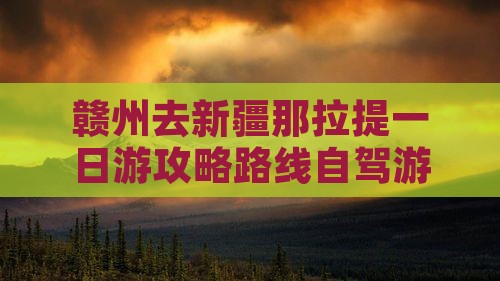 赣州去新疆那拉提一日