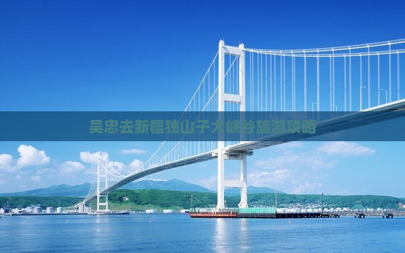 吴忠去新疆独山子大峡谷旅行社