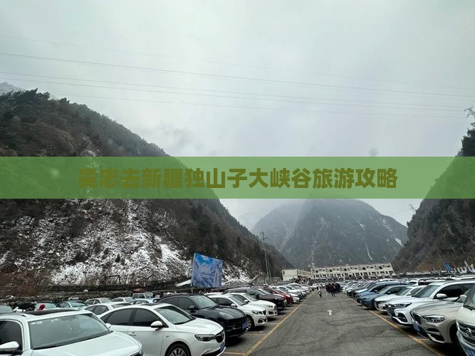 吴忠去新疆独山子大峡谷旅行社