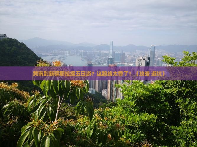 黄南到新疆那拉提五日游