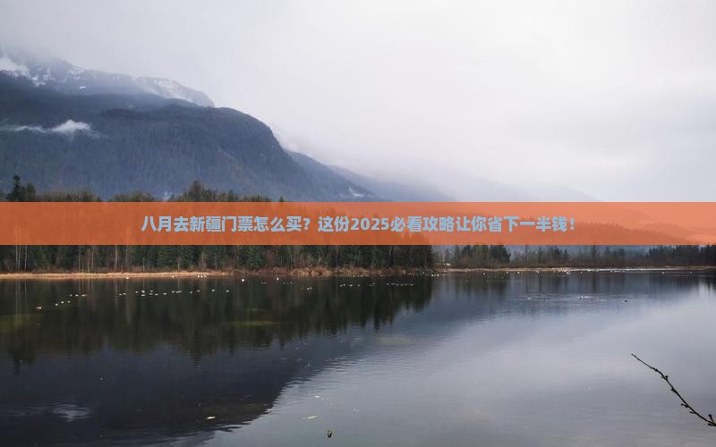 八月到新疆门票