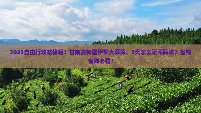 甘南去新疆伊犁大草原自由行