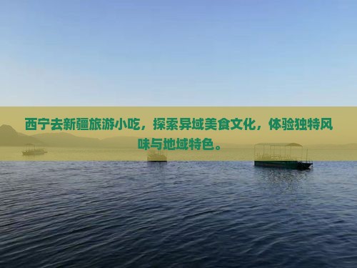 西宁去新疆旅游小吃