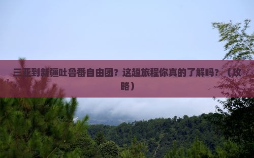 三亚到新疆吐鲁番自由团