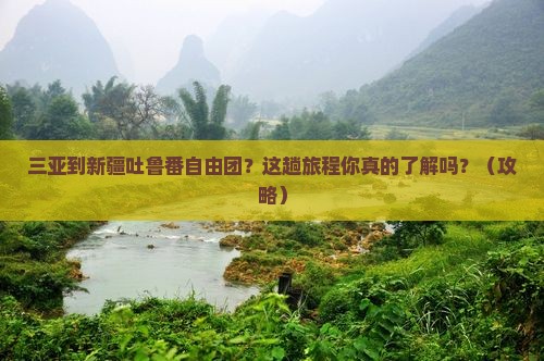 三亚到新疆吐鲁番自由团
